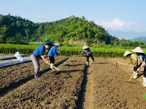 Xuất cấp hạt giống cây trồng hỗ trợ Lào Cai khôi phục sản xuất