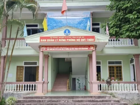 Lý do bất ngờ 4 cán bộ Ban Quản lý rừng phòng hộ bị khởi tố