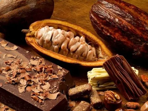 Giá ca cao giảm mạnh, giá ngô khởi sắc sau báo cáo tồn kho