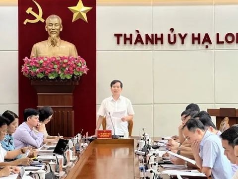 Giám đốc BQL dự án đầu tư xây dựng Tp.Hạ Long bị tạm đình chỉ công tác