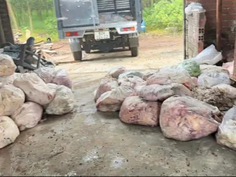 Phát hiện cơ sở chế biến mỡ, da động vật trái phép