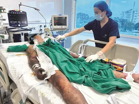 Nguy cơ suy đa tạng vì liên cầu lợn