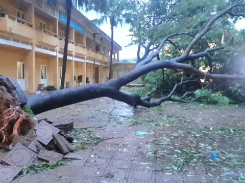 20 trường học trên địa bàn Hà Nội chưa thể tổ chức dạy học trực tiếp