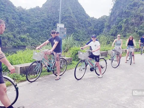 Khách du lịch đến Hải Phòng giảm mạnh do bão Yagi