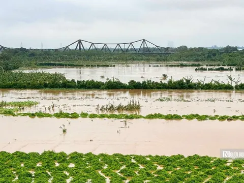 Quy hoạch Thủ đô sẽ có phương án chi tiết phòng, chống lũ của các tuyến sông