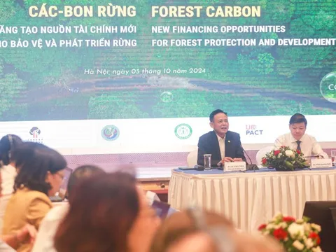 Lâm nghiệp là lĩnh vực giảm phát thải tốt nhất