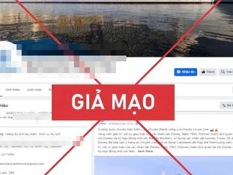 Cảnh báo tình trạng du khách bị lừa khi đặt phòng khách sạn qua mạng