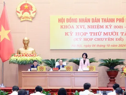 Đề xuất chính sách hỗ trợ người trồng đào, quất bị ảnh hưởng do bão Yagi