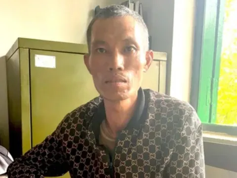 Đối tượng cưa hạ trái phép hàng trăm m3 gỗ ra đầu thú