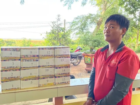 Triệt phá vụ vận chuyển gần 30kg pháo lậu qua biên giới