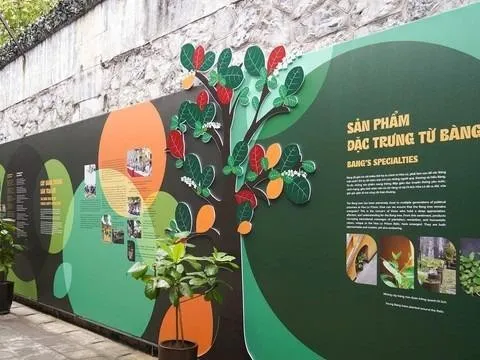 Từ ngày 8/10 sẽ diễn ra Trưng bày chuyên đề “Bàng ơi!” tại Di tích lịch sử Nhà tù Hỏa Lò