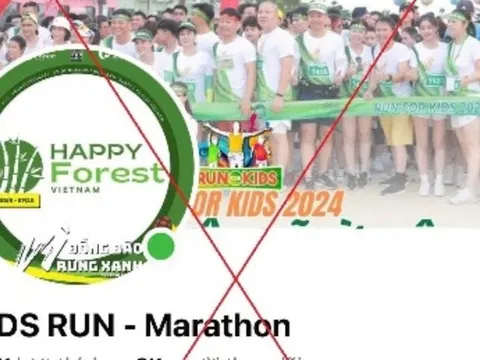 Đăng ký cho con tham gia giải chạy, người phụ nữ bị lừa gần 1 tỷ đồng