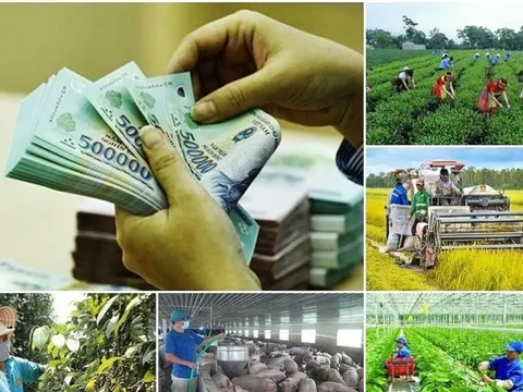 12 tỉnh, thành phố đạt tỷ lệ giải ngân vốn các CTMTQG trên 50%