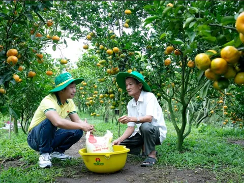 Phân Bón Cà Mau: Hỗ trợ 4 tỷ đồng giúp bà con nông dân vùng lũ lụt tái sản xuất
