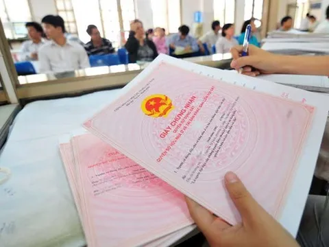 Trường hợp nào con có chung quyền sử dụng đất với cha mẹ?