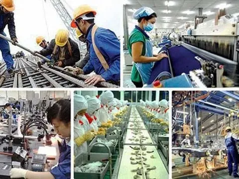 Đề xuất bãi bỏ một số quy định thuộc lĩnh vực lao động - thương binh và xã hội