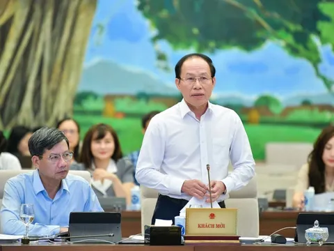 Cần thiết ban hành Nghị quyết về tổ chức chính quyền đô thị TP. Hải Phòng