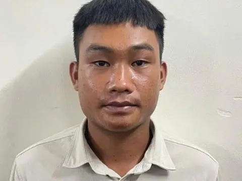 Đề nghị truy tố tài xế xe tải dùng bằng lái giả, gây tai nạn liên hoàn