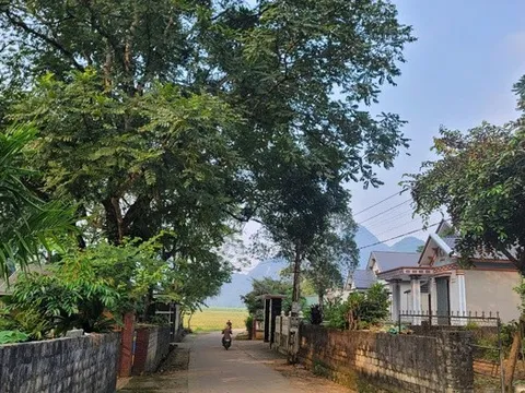 Khởi tố, bắt giam "tác giả" khiến nữ sinh lớp 8 mang song thai