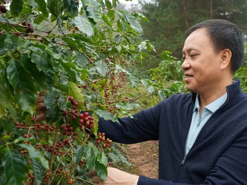 Dấu ấn của doanh nhân Phan Minh Thông trong hành trình phát triển cà phê bền vững tại Sơn La