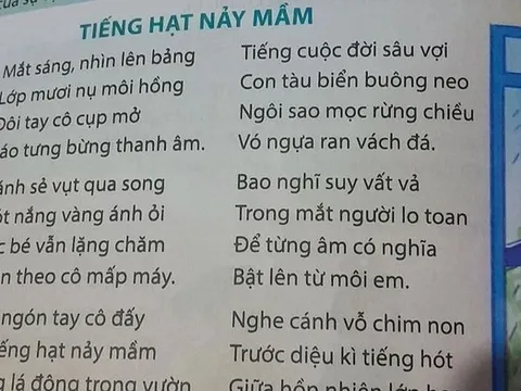 Nhân "ánh ỏi" nghĩ về đọc thơ