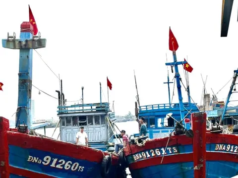 Đà Nẵng tăng cường tuần tra, kiểm soát, xử lý các vi phạm IUU