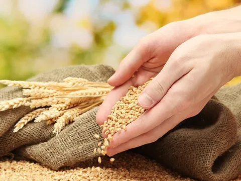 Công nghệ sinh học: Gỡ rào cản từ nhận thức đến cơ chế