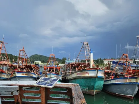 Khởi tố vụ tàu cá gắn 8 thiết bị giám sát hành trình