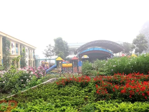 Thúc đẩy mô hình trường học ‘xanh’ tại Việt Nam