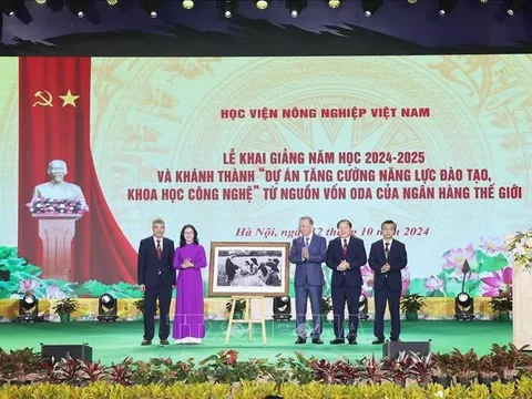 Đại học phải là một thực thể quan trọng trong hệ thống đổi mới sáng tạo quốc gia