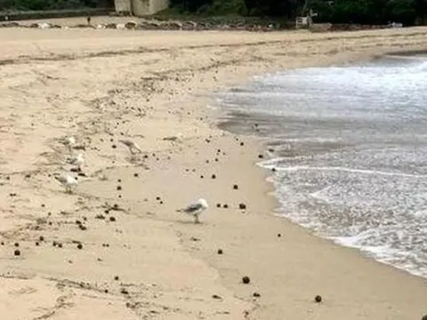 Bãi biển nổi tiếng phải đóng cửa vì phát hiện "vật thể lạ"