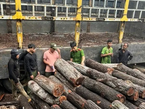 Vụ bắt xe gỗ tại biên giới: Sẽ xử lý nghiêm nếu có dấu hiệu tiếp tay