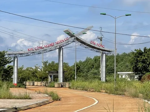 Cựu Giám đốc Sở vắng mặt tại phiên tòa vì có bệnh án tâm thần