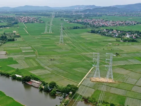 Nhiều bài học kinh nghiệm quý được rút ra sau thành công dự án đường dây 500kV mạch 3