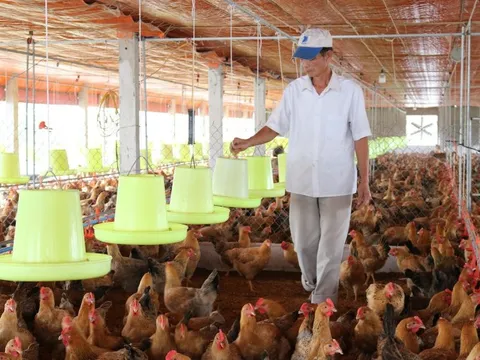 Cục Thú y sẵn sàng cùng các địa phương xây dựng bản đồ dịch tễ