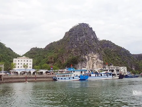 Hải Phòng: Thành lập Ban Chỉ đạo quản lý Di sản vịnh Hạ Long - Cát Bà