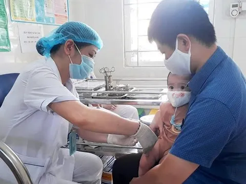 Lặng thầm những đóa hoa 'Blouse trắng'