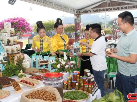 Sơn La: Hỗ trợ doanh nghiệp nông nghiệp lên sàn 'thương mại điện tử'