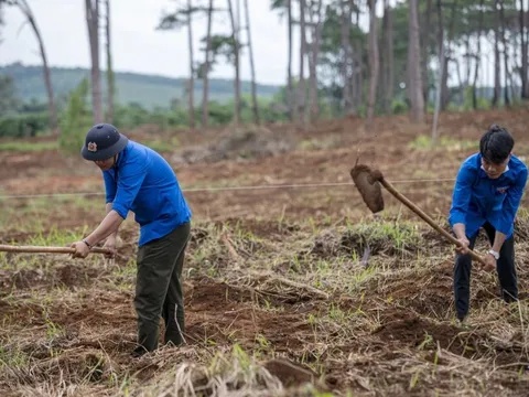 Thanh Hóa đẩy mạnh trồng rừng theo tiêu chuẩn FSC
