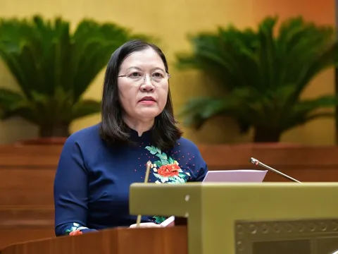 Bổ sung quy định cấm thỏa thuận mua bán người khi còn đang là bào thai