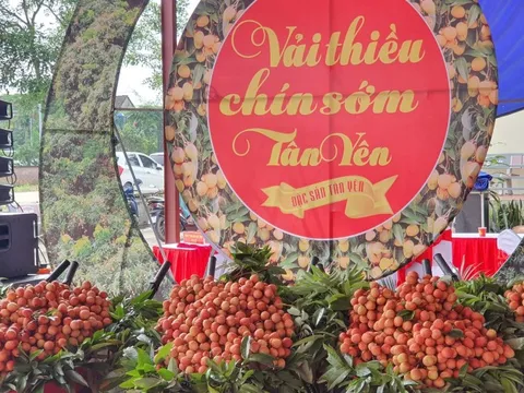 Xây dựng nông thôn mới ở Bắc Giang - Điểm sáng từ xã Phúc Hòa