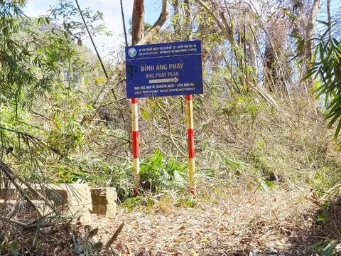 Hải Phòng ngăn chặn cháy rừng mùa hanh khô