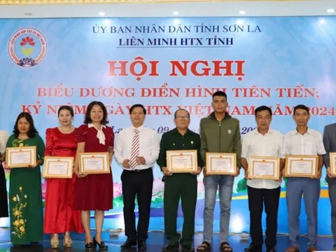 Liên minh HTX tỉnh Sơn La thúc đẩy, hỗ trợ kinh tế tập thể, kinh tế hợp tác trên địa bàn