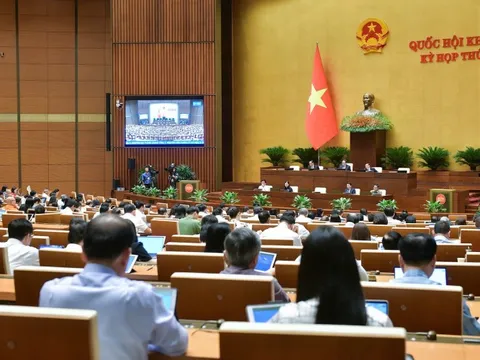 Nghiêm cấm 'thỏa thuận mua bán người từ khi còn đang là bào thai'