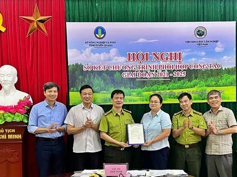 Cấp mã số vùng trồng rừng tại Tuyên Quang