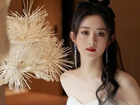 Triệu Lệ Dĩnh bất ngờ tuyên bố giải nghệ, sự thật ai cũng ngỡ ngàng