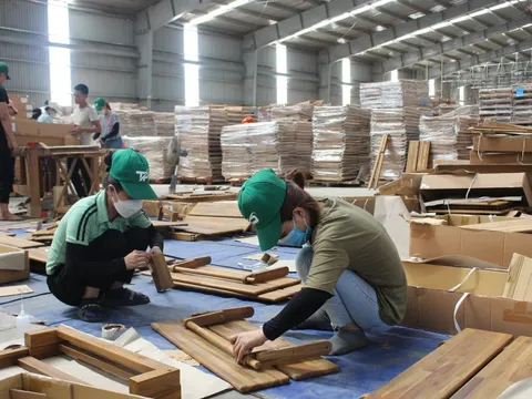 Truy xuất nguồn gốc gỗ là nhiệm vụ cấp thiết khi hội nhập quốc tế