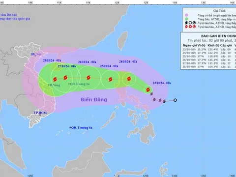 Thủ tướng: Không để xảy ra tình trạng bất ngờ hay bị động khi ứng phó bão TRAMI
