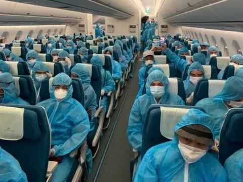 Vụ chuyến bay giải cứu: Vì sao một nữ chuyên viên được nhận "cảm ơn" tới 650 triệu đồng?