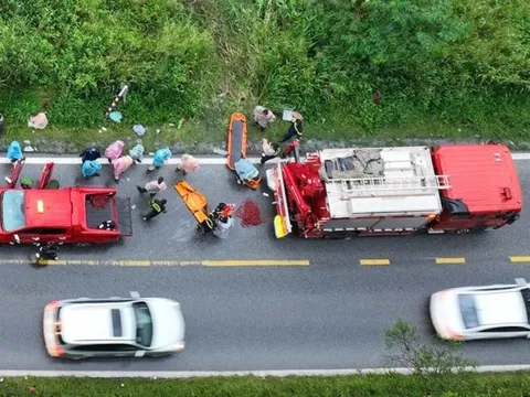 Rùng mình lời khai của nữ tài xế lao xe xuống đèo: Thử cho mèo ăn trước khi đầu độc người tình bằng xyanua